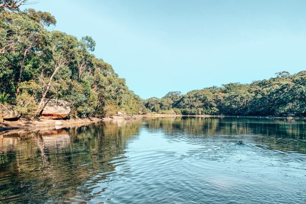 Gastronomie montagnarde estivale