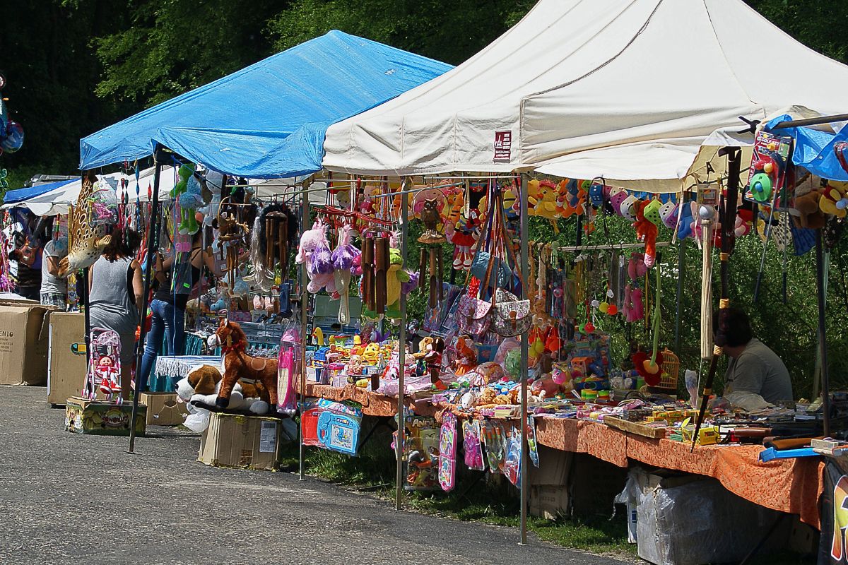 Foires rurales et patrimoine vivant