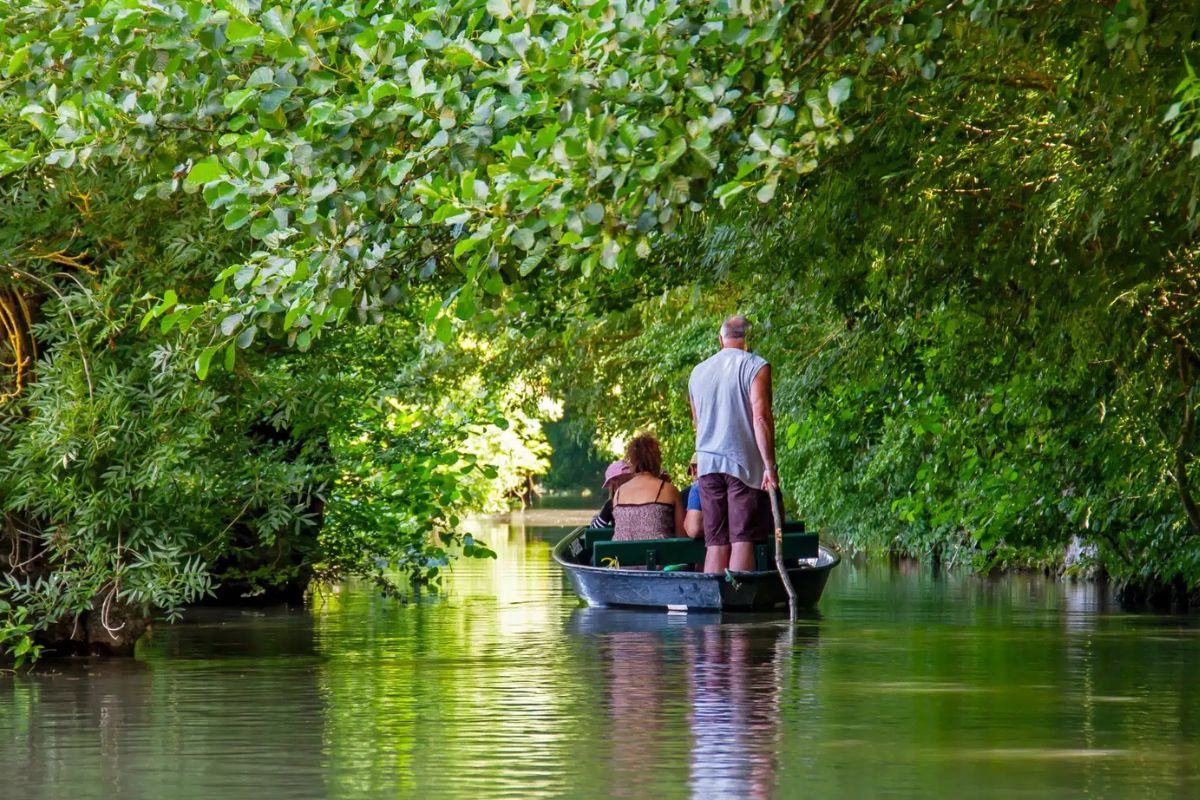 Marais poitevin dans une Venise verte