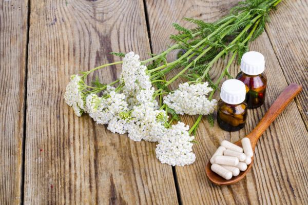 Plantes médicinales traditionnelles