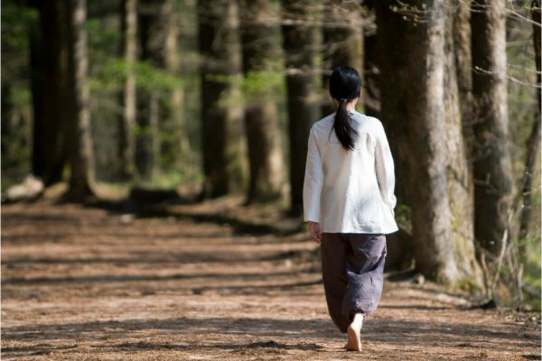 itinéraires pour marcher en pleine conscience Alsace