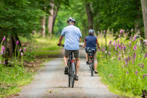la Loire à vélo visite