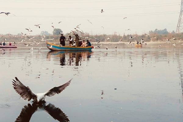 saisons tourisme fluvial
