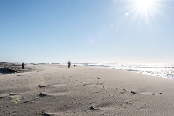 Accéder aux plages sauvages en Camargue