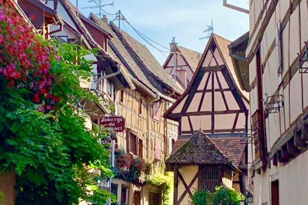 l'Alsace leur magnifique région