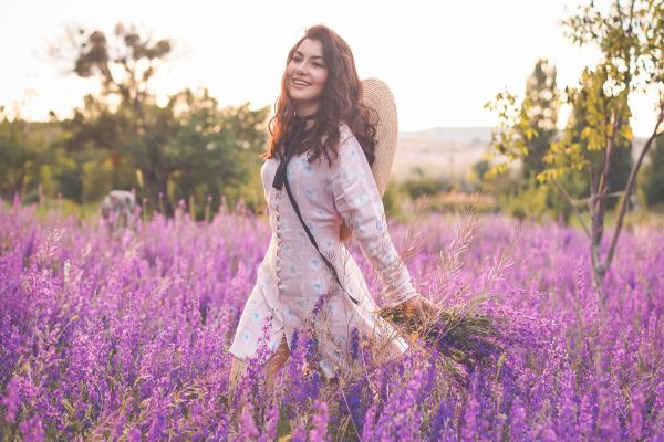 Balade au cœur des lavandes Provence