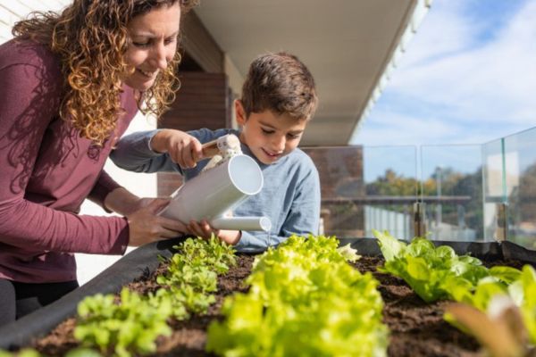 Créer un potager éducatif 
