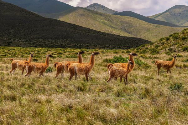 Une nature sauvage et préservée