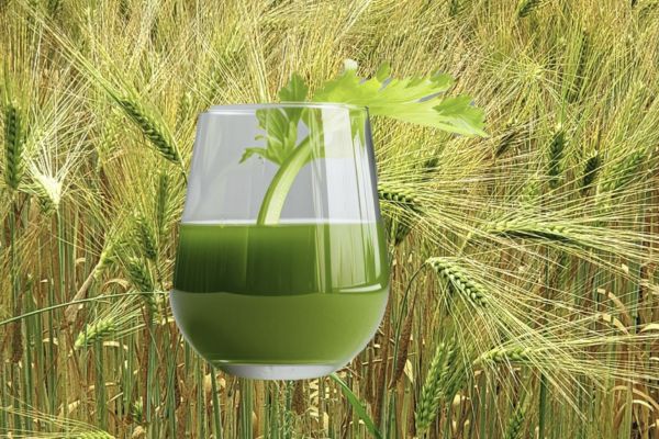 cure détox voyageurs Camargue