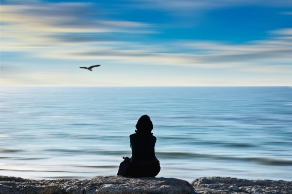 escapades nature Observation des oiseaux