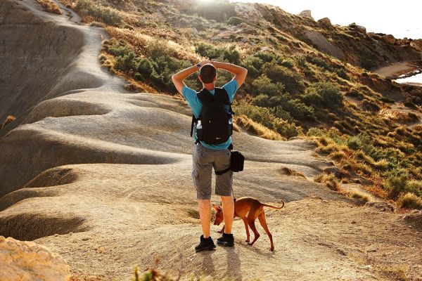faune et la flore comme compagnons de route