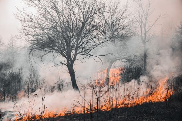 incendies en Provence