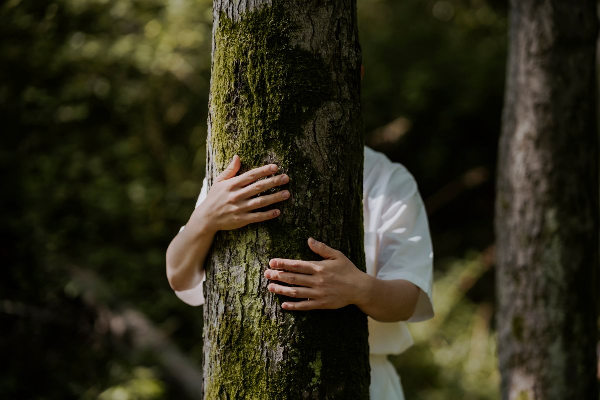 lieux pour pratiquer la sylvothérapie
