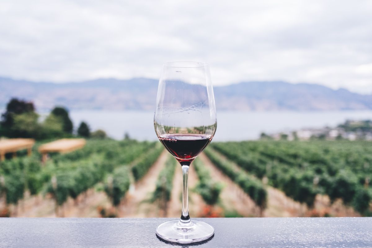 patrimoine viticole français