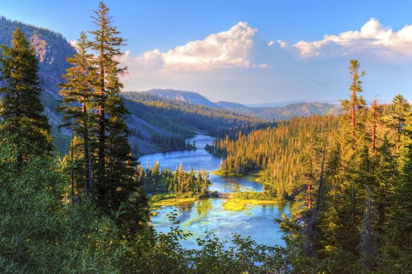 paysages à découvrir en Ardèche Forêts et montagnes secrètes