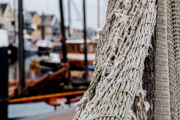 ports de pêche transformés lieux tendance