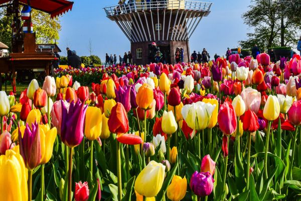 villages français au rythme fleurs