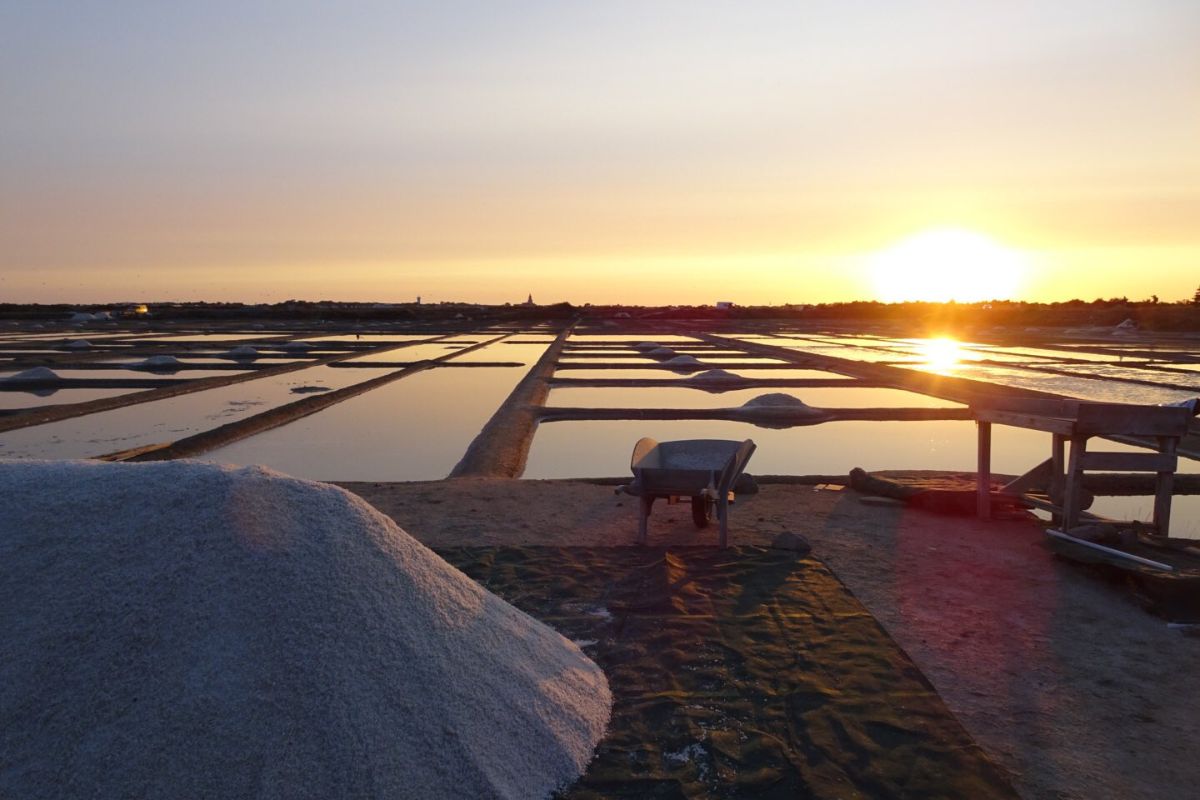Balade marais salants de Guérande