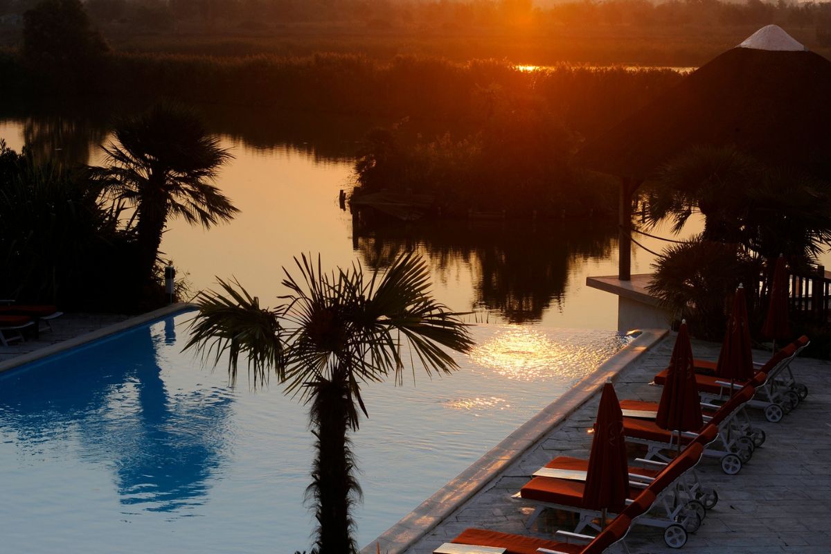 Camargue destination unique au monde