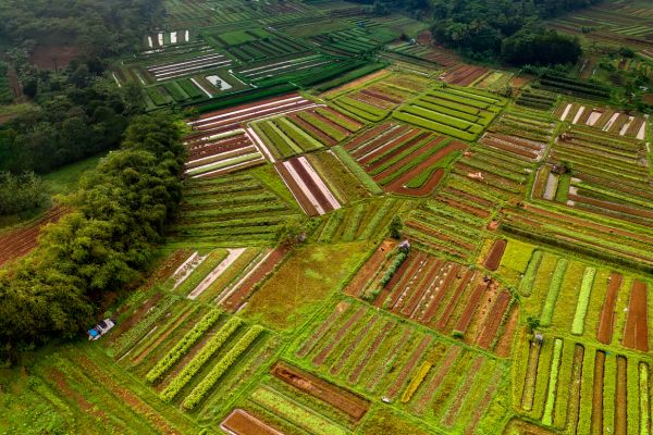 Une terre de saveurs et de produits du terroir