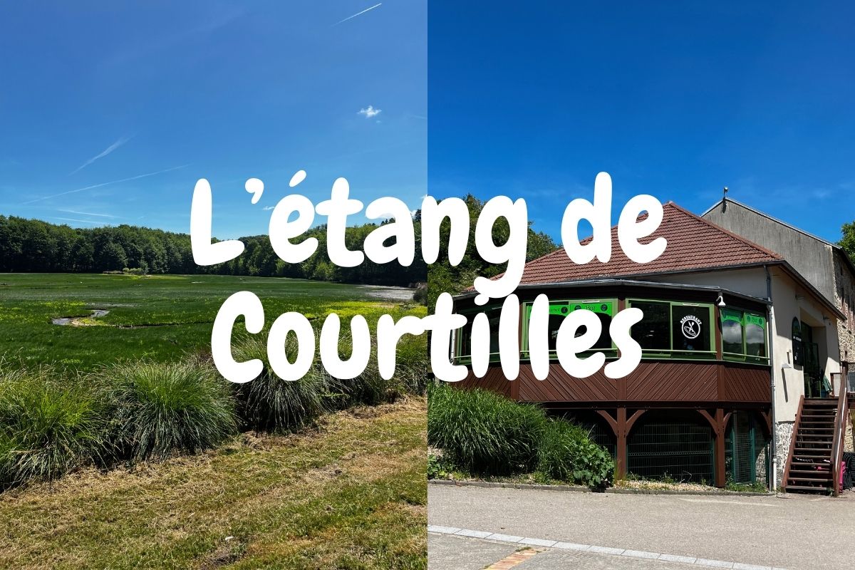 Etang de Courtilles janvier 2026 - Guéret