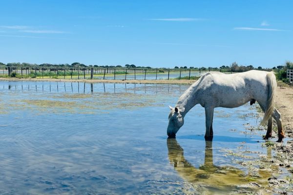 Faune et flore exceptionnelles