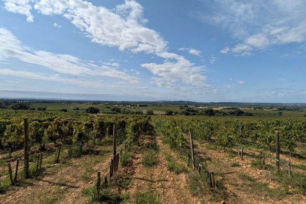 La beauté des villages viticoles