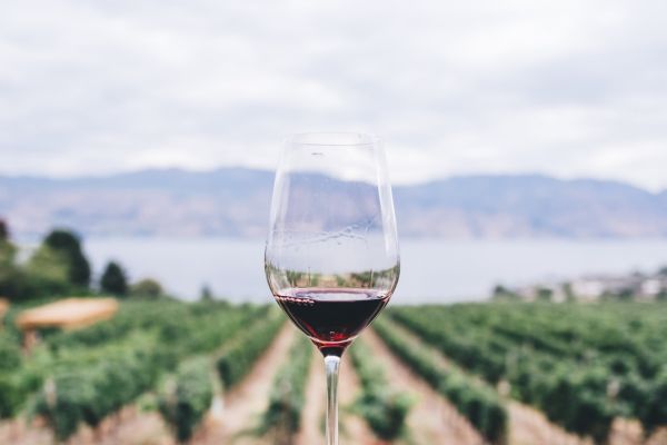 Les routes des vins d’Alsace