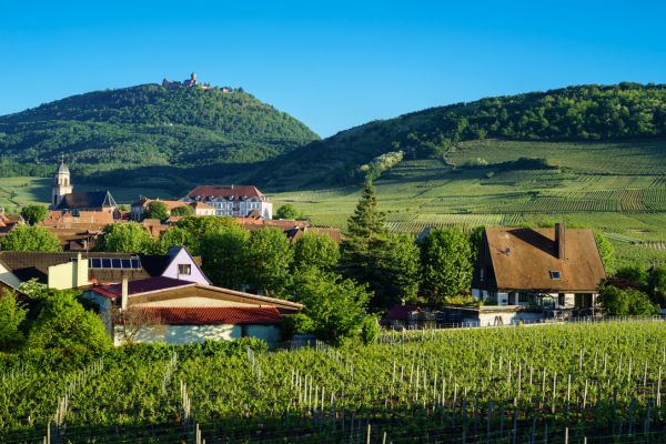 Route des vins et villages pittoresques en Alsace