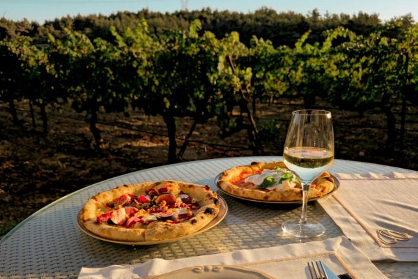 Vignobles et dégustations