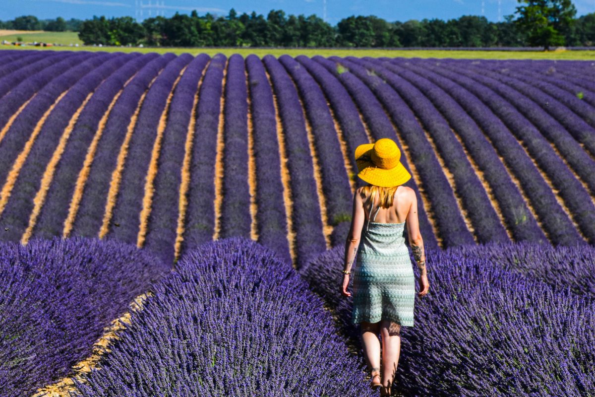 art de vivre provençal à Aix-en-Provence
