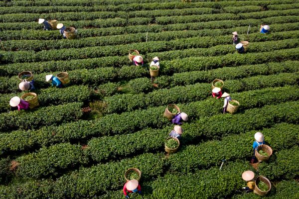 associations locales et les habitants travaillent 