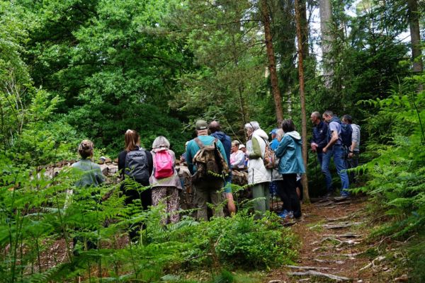 bains forêt experience