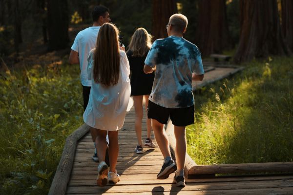 balades en forêt Fontainebleau