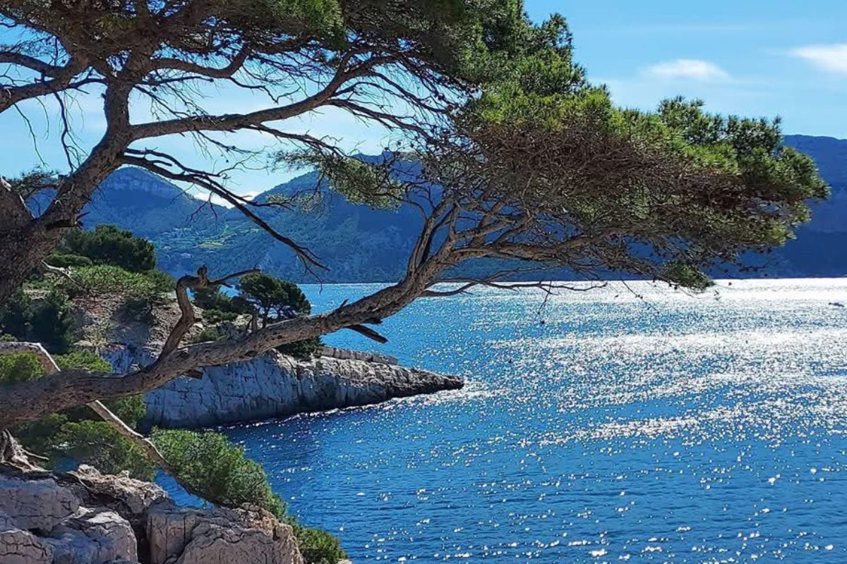 falaises et criques secrètes de Cassis