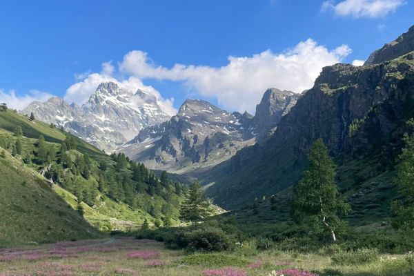 faune et de la flore