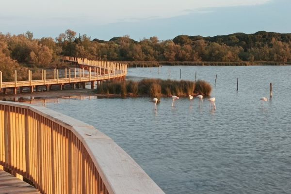 lifestyle solaire en Camargue paysages