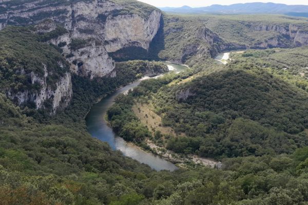 peintures grotte Chauvet Ardèche