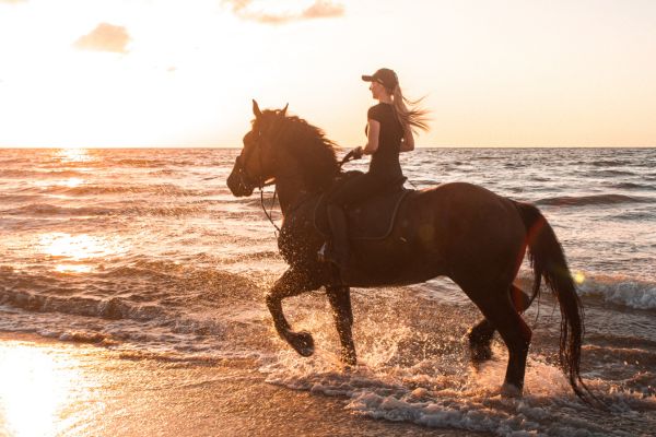 promenades à cheval