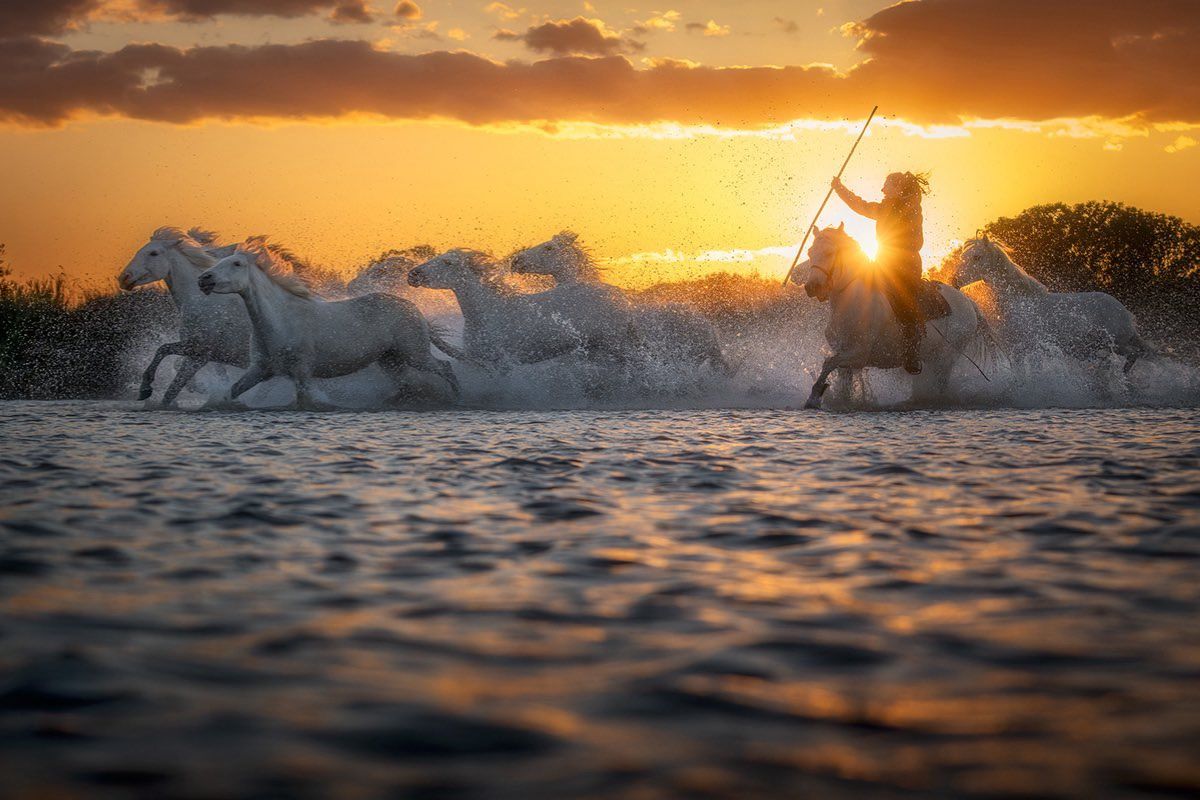 road trip en Camargue