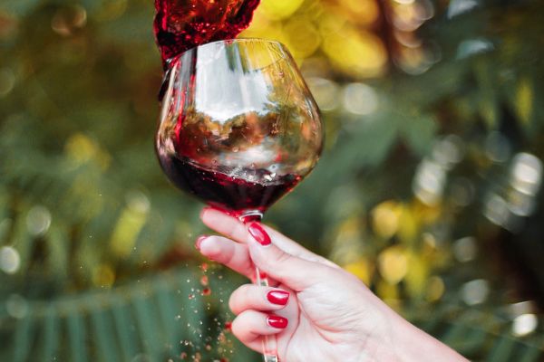 tourisme œnologique