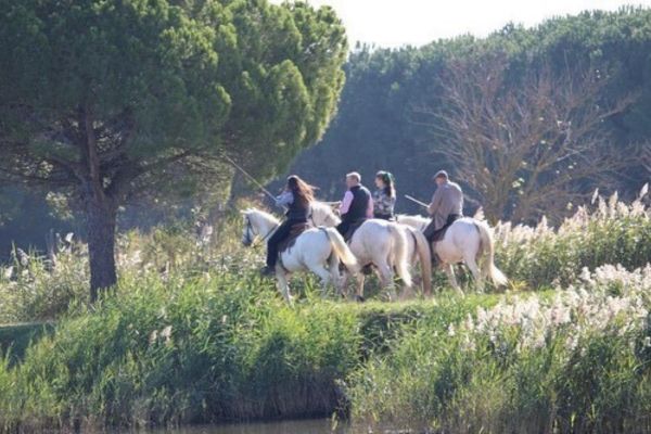 voyageurs en Camargue familles