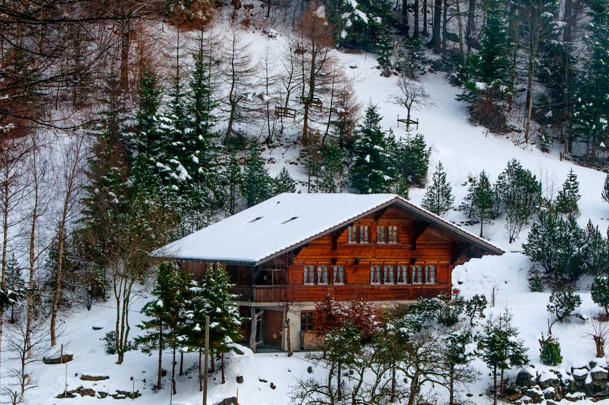 Chalet en location à Vosges
