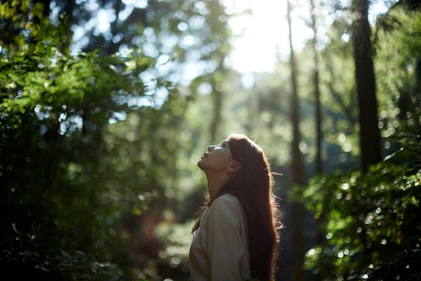 Harmonie entre patrimoine et bien-être