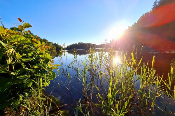 La Pointe d’Arçay
