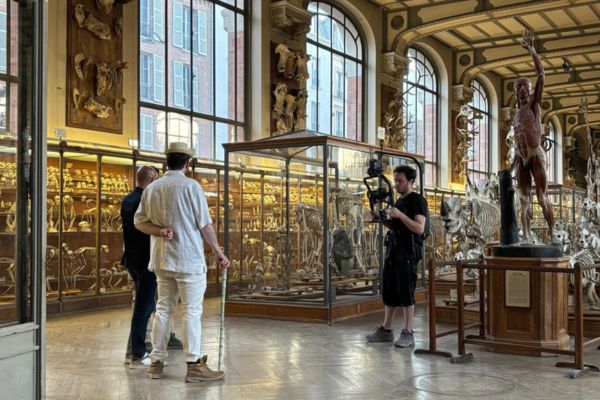 Musée d’Histoire Naturelle de Lille