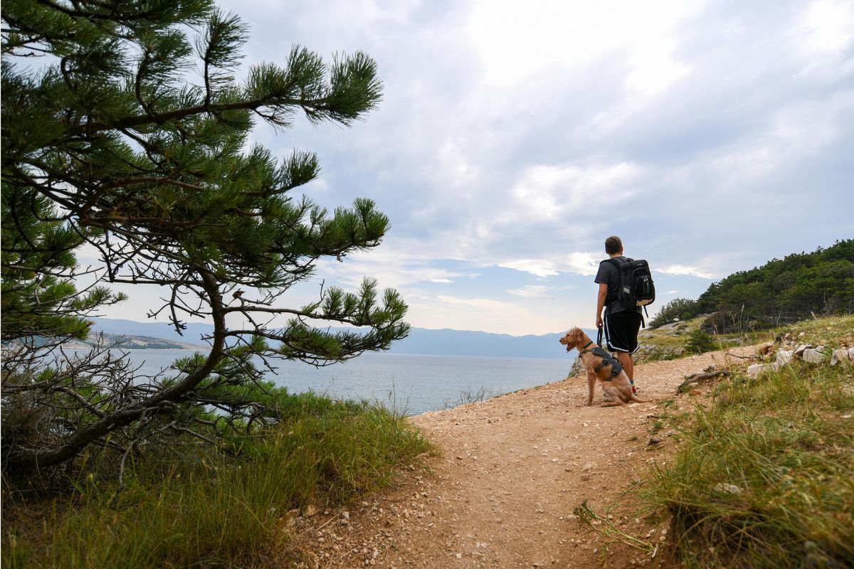 randonnées côtières à Belle-Île-en-Mer