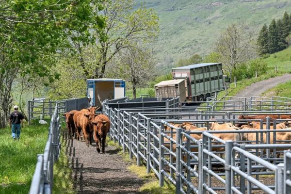 Activités pour tous