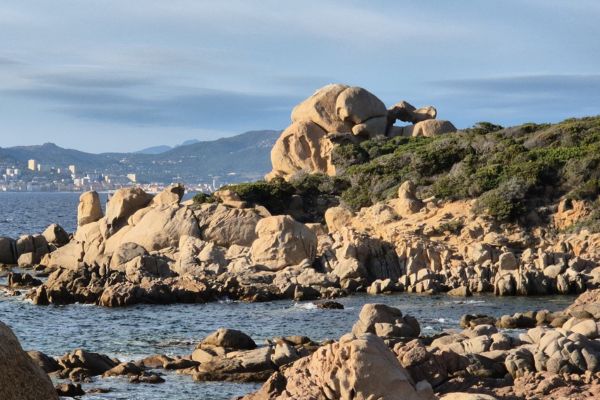 Activités pratiques conseils