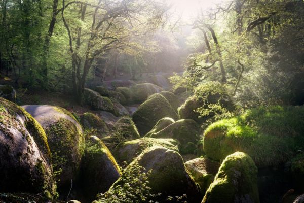 Bretagne Les forêts et sentiers